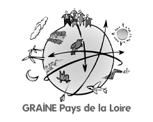 logo GRAINE - Pays de la loire